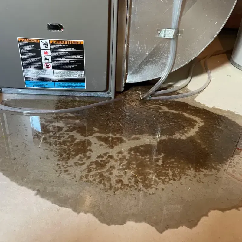 Appliance Leak Cleanup in Sandy Hook, KY